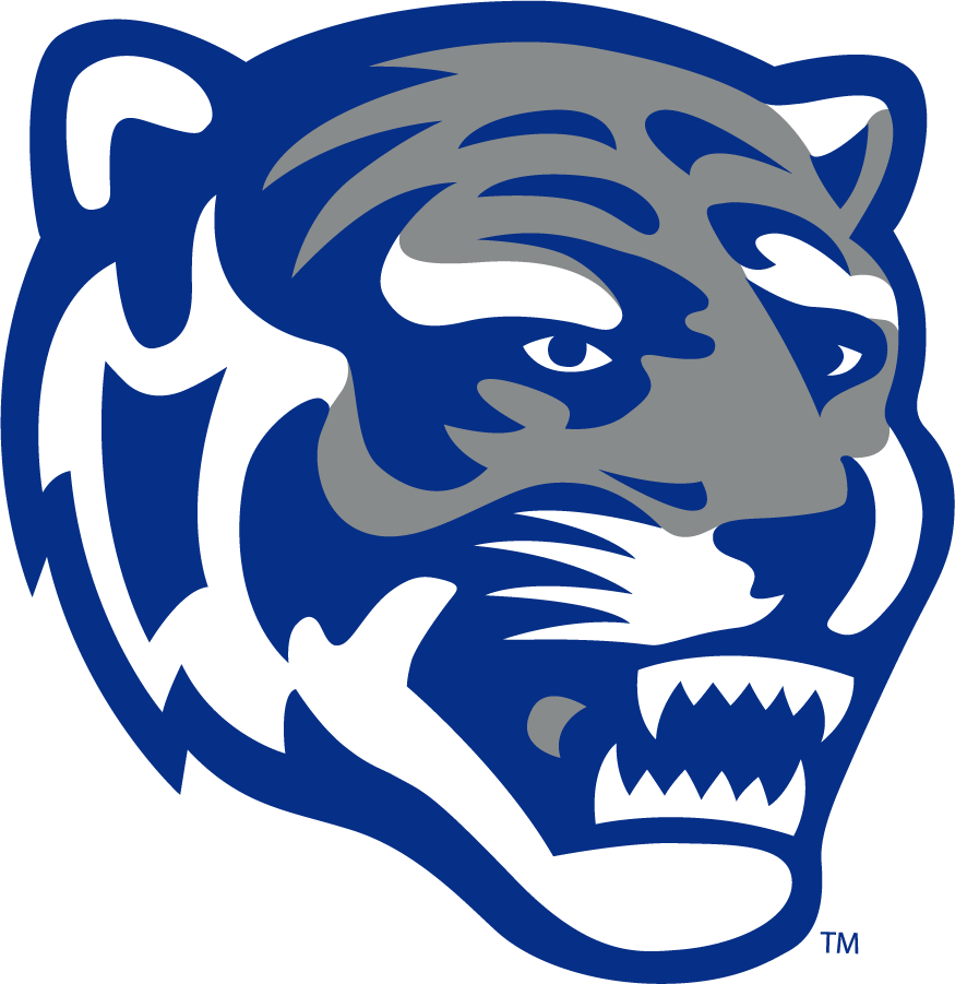 Memphis Tigers 2013-Pres Secondary Logo v5 iron on transfers for clothing